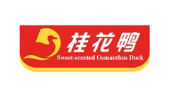 &#21338;&#40060;&#23448;&#26041;&#32593;&#39029;&#29256;&#45;&#21338;&#40060;&#40;&#20013;&#22269;&#41;
